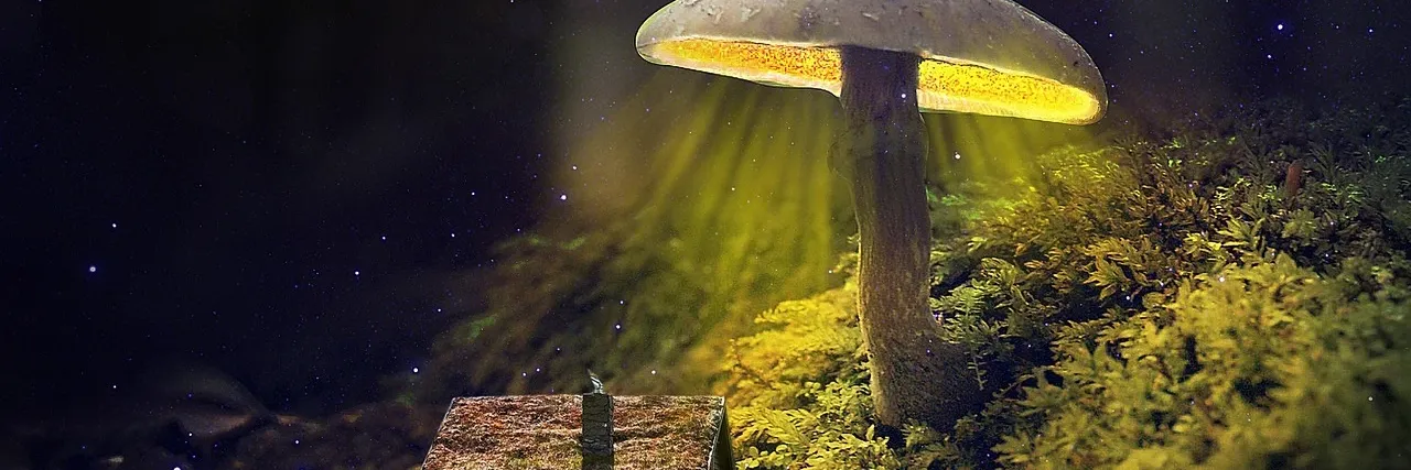 Banner Fantasy woche