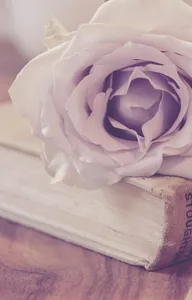 Love and Confess