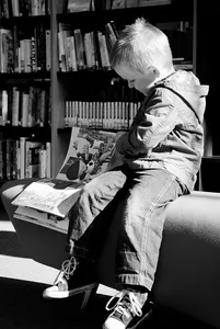 Hasse - Bookelements 2