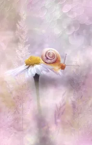 Das Glück ist kein Haustier