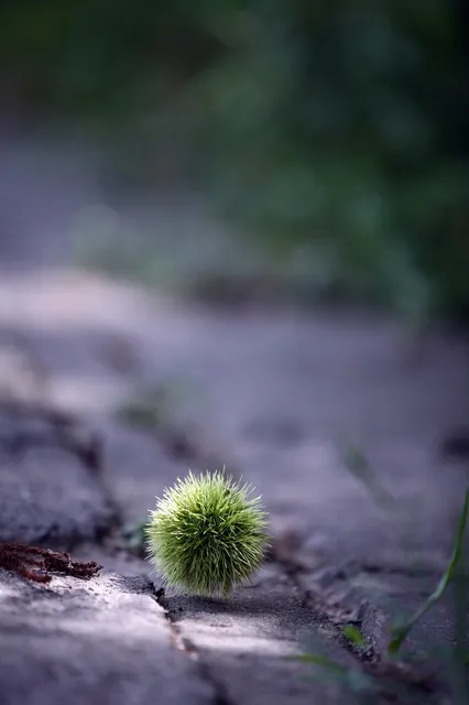:-)