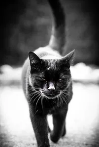evil-me
